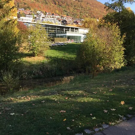 Thermenblick 아파트